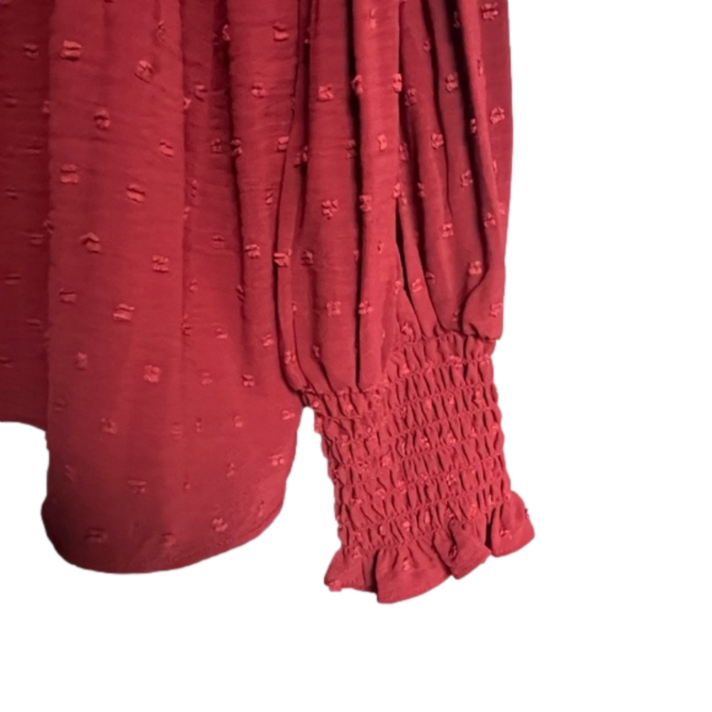 NWT Max Studio Accordion Pleat Bishop Sleeve Swiss Dot Blouse Terracotta Red M - Picture 6 of 7